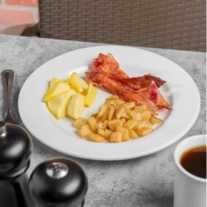 WORLD Porcelain Restaurant Dinner Plates Set of 4